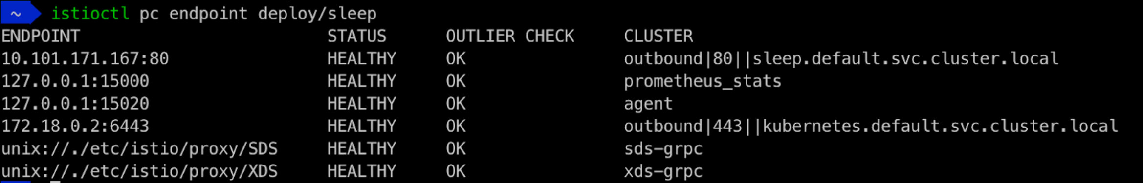 Endpoints for Sleep Deployment With Discovery Selectors