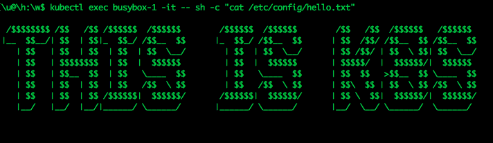 The file is in the pod container !